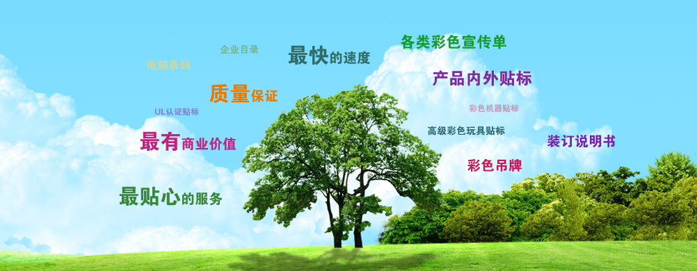 Xin Li Jia Print Co., Ltd. , Ltd., Nanhai District, Foshan